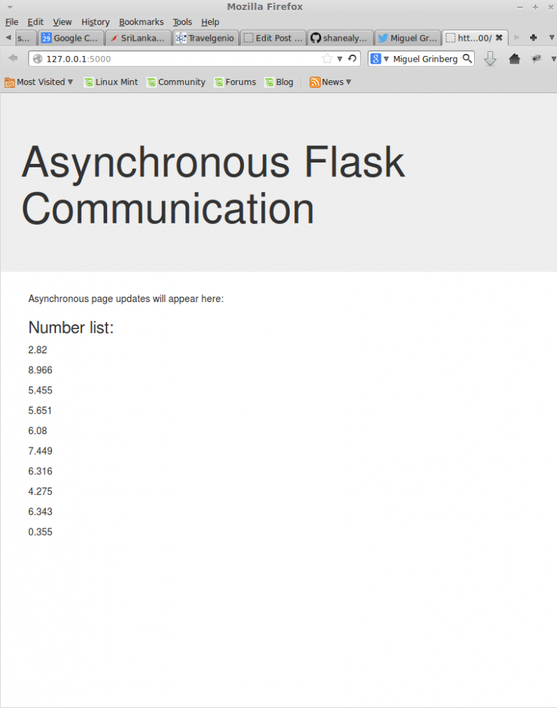 Flask screenshot